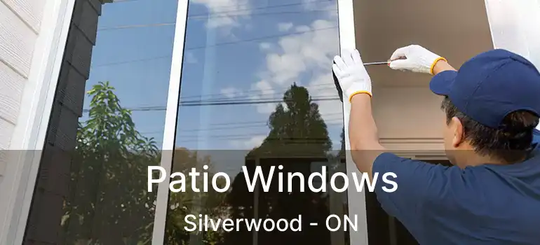  Patio Windows Silverwood - ON
