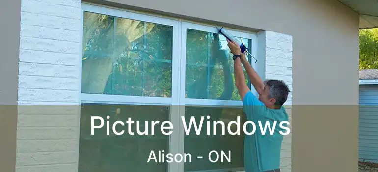  Picture Windows Alison - ON