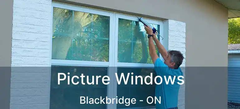  Picture Windows Blackbridge - ON