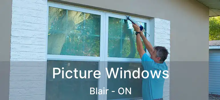  Picture Windows Blair - ON
