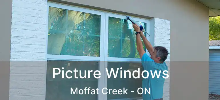  Picture Windows Moffat Creek - ON