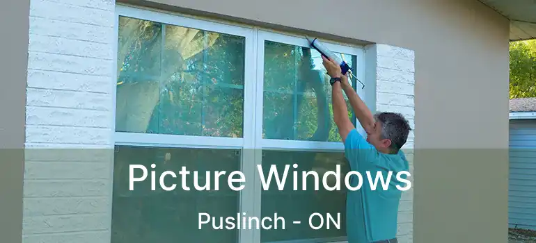  Picture Windows Puslinch - ON