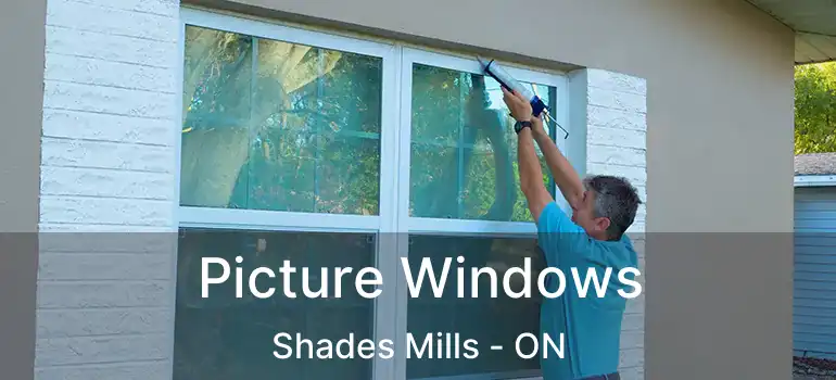  Picture Windows Shades Mills - ON