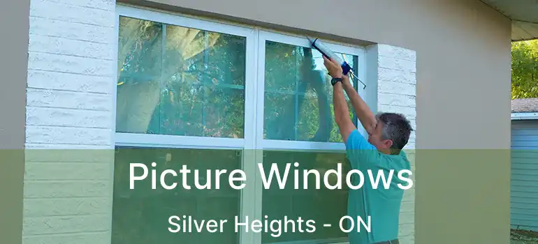  Picture Windows Silver Heights - ON