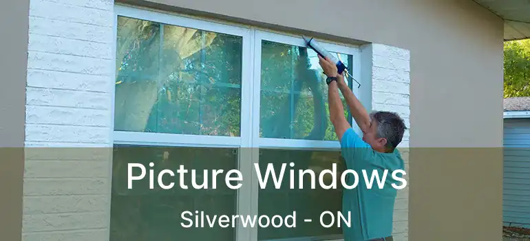  Picture Windows Silverwood - ON