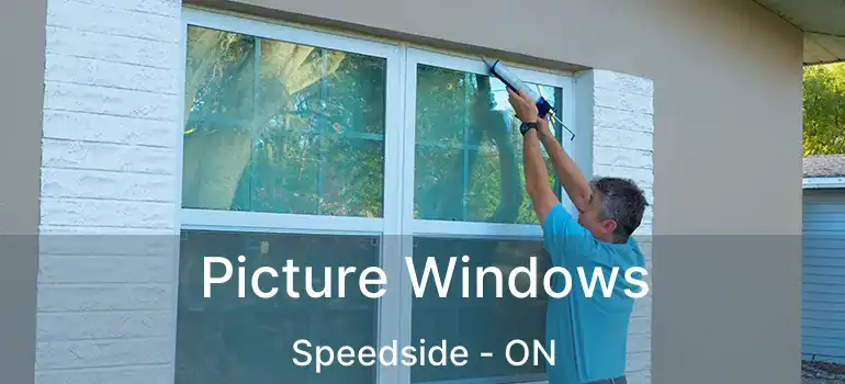 Picture Windows Speedside - ON
