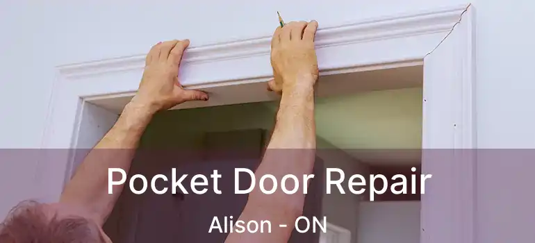  Pocket Door Repair Alison - ON