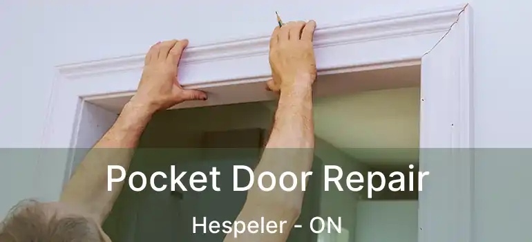  Pocket Door Repair Hespeler - ON