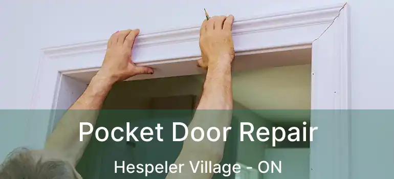  Pocket Door Repair Hespeler Village - ON
