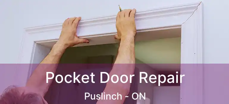  Pocket Door Repair Puslinch - ON