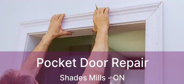 Pocket Door Repair Shades Mills - ON