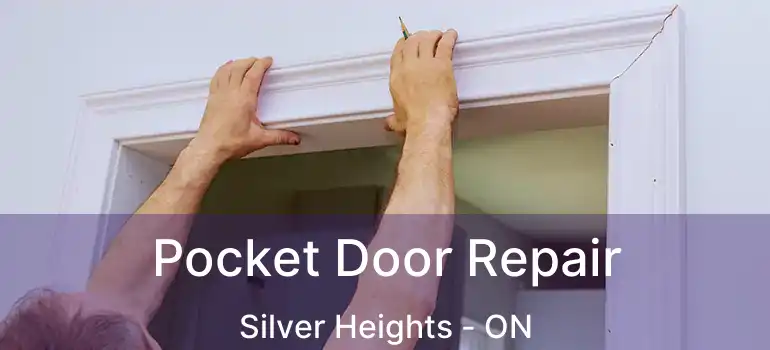  Pocket Door Repair Silver Heights - ON