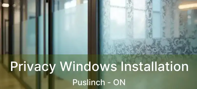  Privacy Windows Installation Puslinch - ON