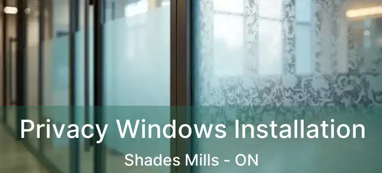  Privacy Windows Installation Shades Mills - ON