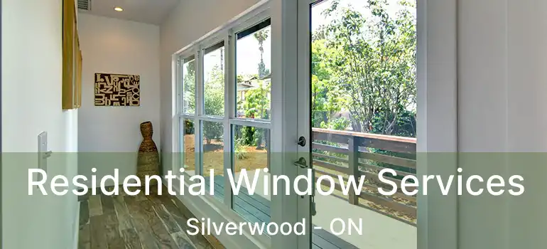  Residential Window Services Silverwood - ON