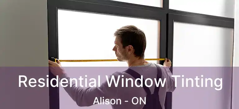  Residential Window Tinting Alison - ON