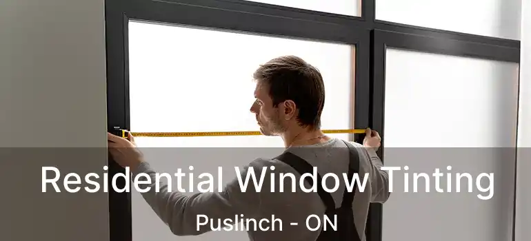 Residential Window Tinting Puslinch - ON