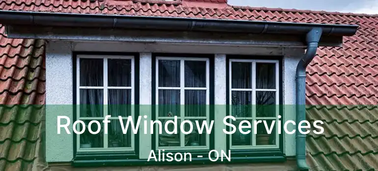  Roof Window Services Alison - ON