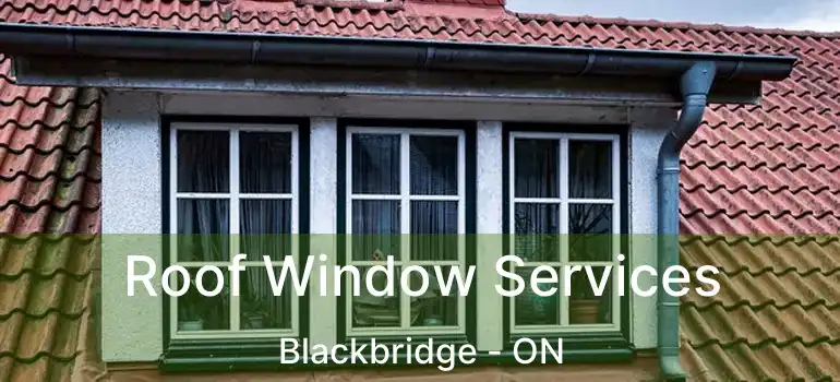  Roof Window Services Blackbridge - ON