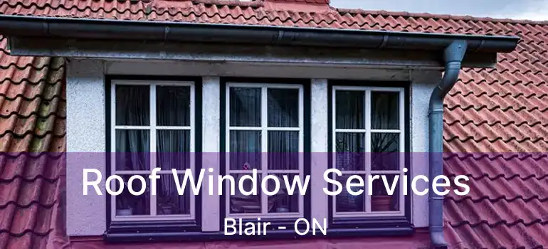  Roof Window Services Blair - ON