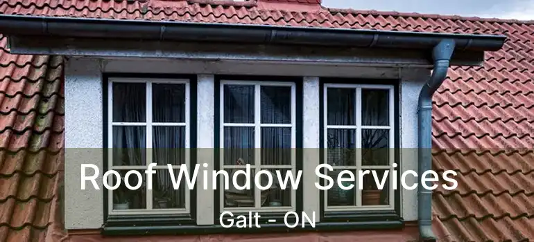  Roof Window Services Galt - ON