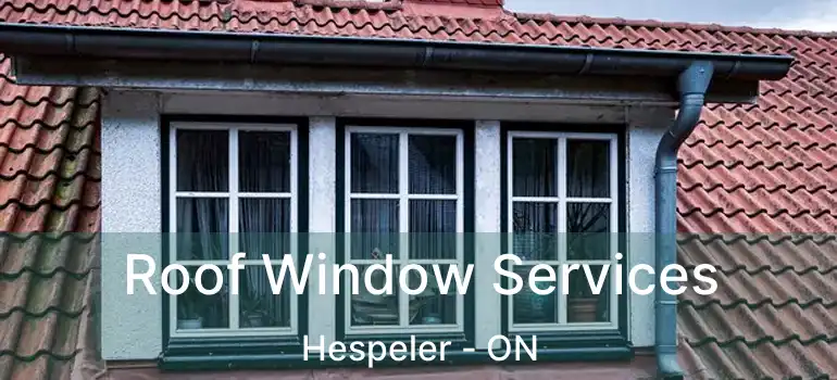  Roof Window Services Hespeler - ON