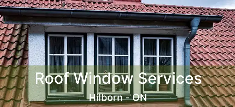  Roof Window Services Hilborn - ON