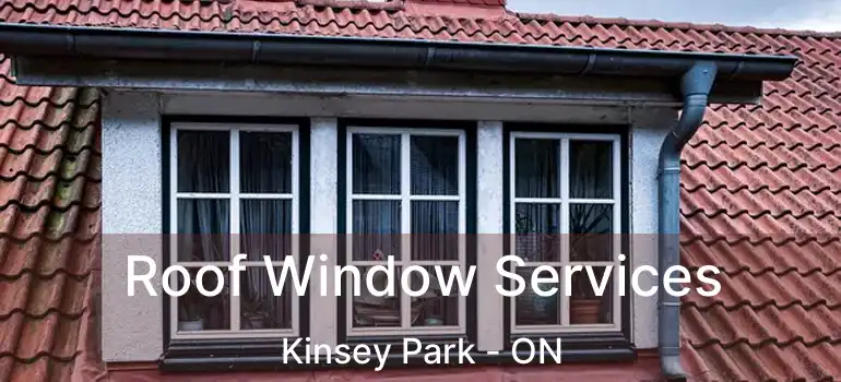  Roof Window Services Kinsey Park - ON