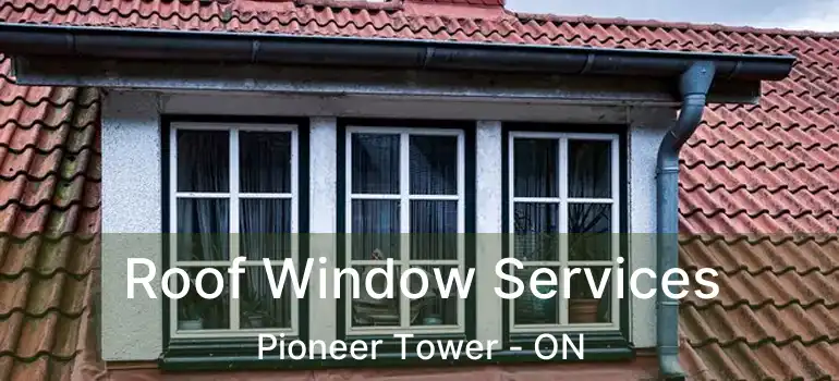  Roof Window Services Pioneer Tower - ON