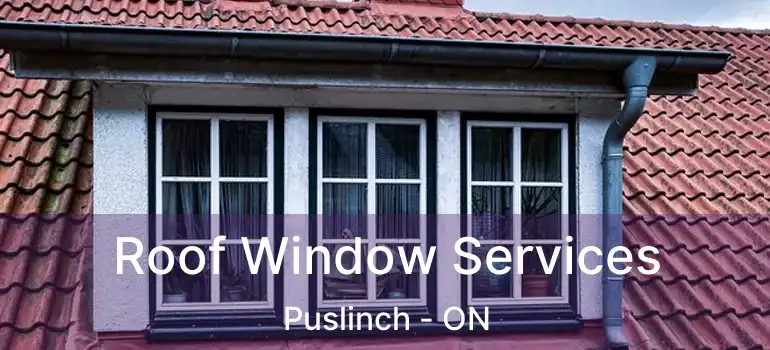  Roof Window Services Puslinch - ON