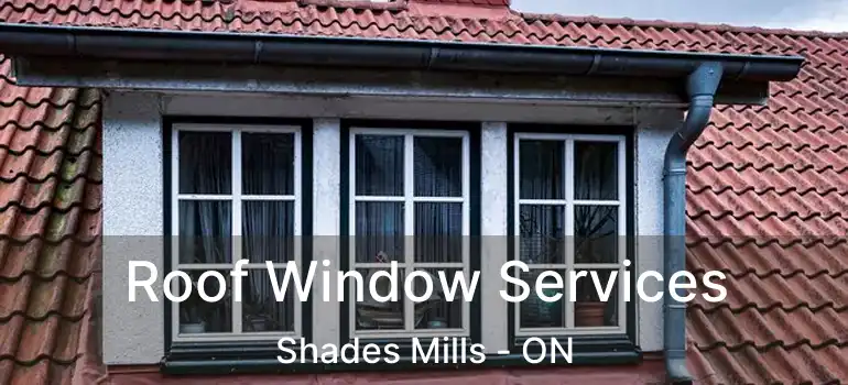  Roof Window Services Shades Mills - ON