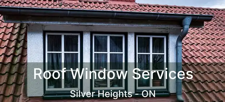  Roof Window Services Silver Heights - ON