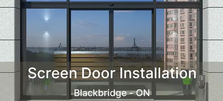  Screen Door Installation Blackbridge - ON