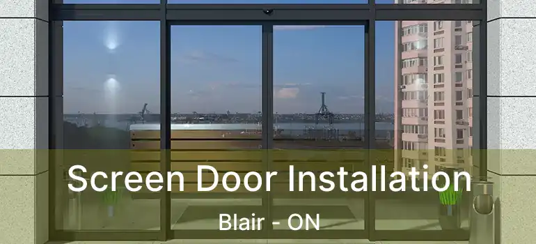  Screen Door Installation Blair - ON