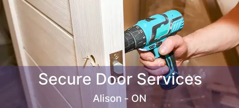  Secure Door Services Alison - ON