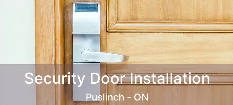  Security Door Installation Puslinch - ON