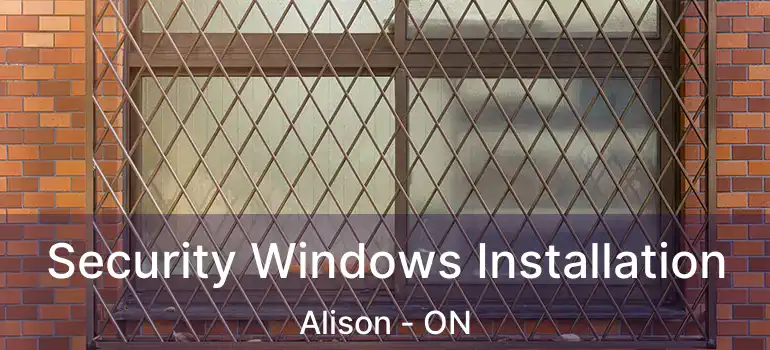  Security Windows Installation Alison - ON