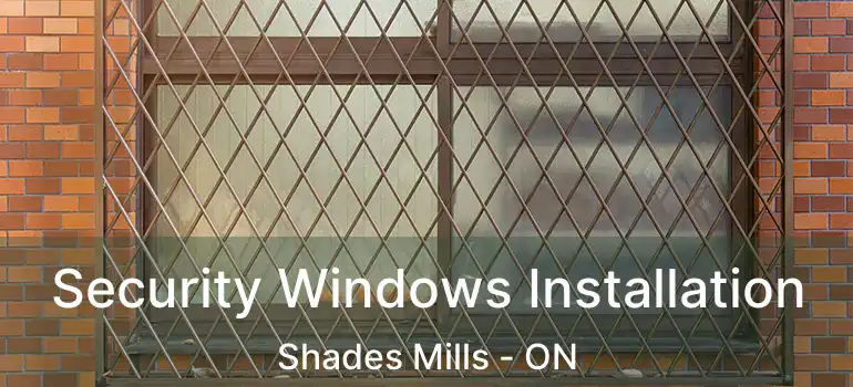 Security Windows Installation Shades Mills - ON