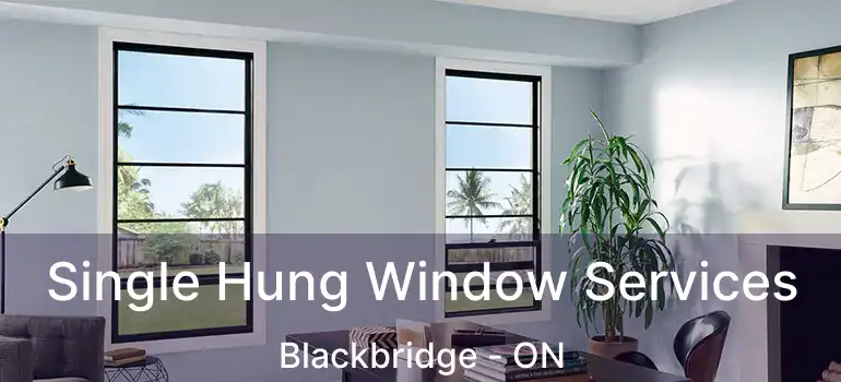  Single Hung Window Services Blackbridge - ON