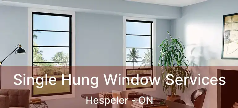 Single Hung Window Services Hespeler - ON