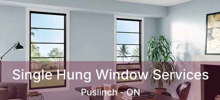  Single Hung Window Services Puslinch - ON