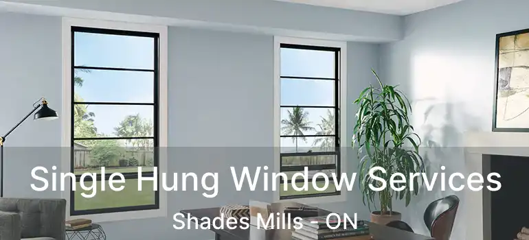  Single Hung Window Services Shades Mills - ON