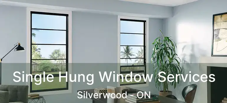 Single Hung Window Services Silverwood - ON