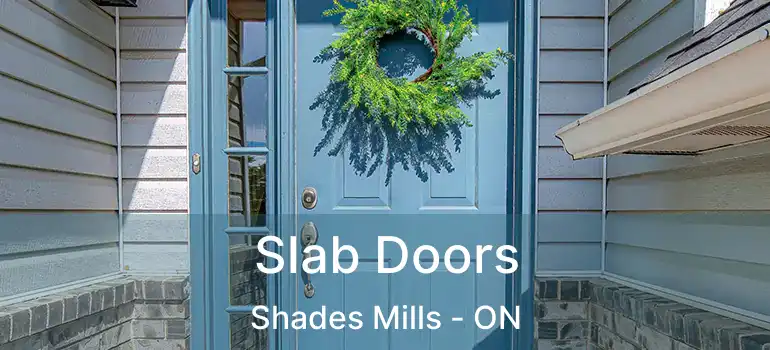  Slab Doors Shades Mills - ON