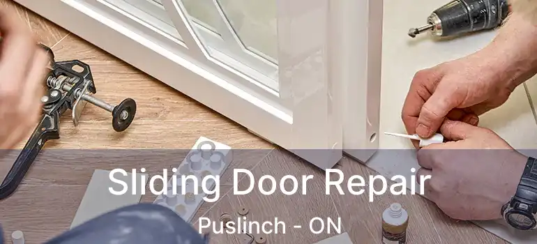  Sliding Door Repair Puslinch - ON