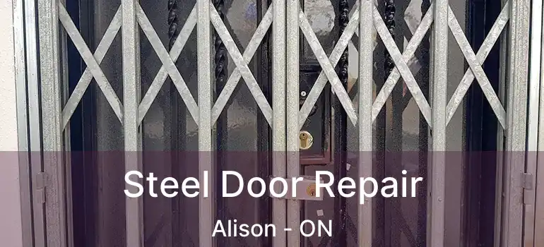  Steel Door Repair Alison - ON