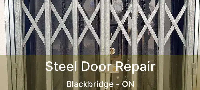  Steel Door Repair Blackbridge - ON