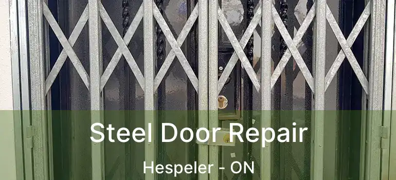  Steel Door Repair Hespeler - ON