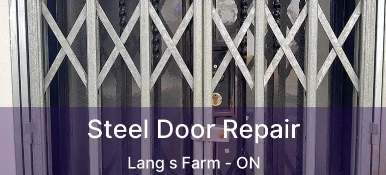  Steel Door Repair Lang s Farm - ON