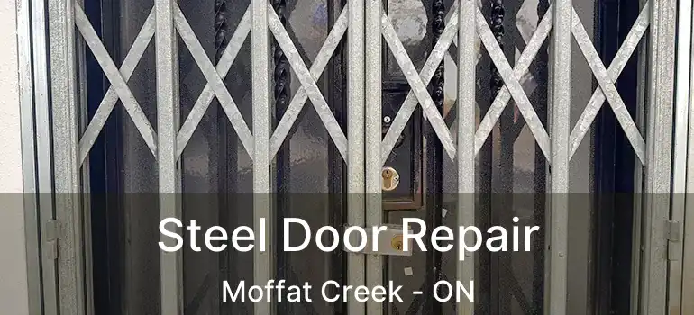  Steel Door Repair Moffat Creek - ON